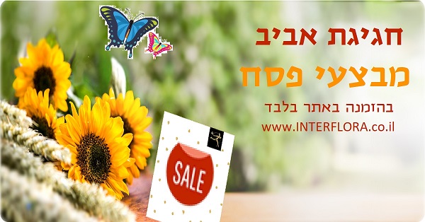 משלוחי פרחים לפסח