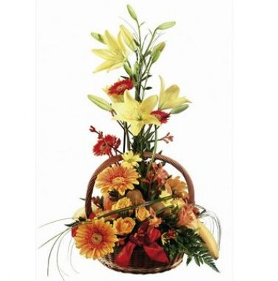 interflora_product_00535