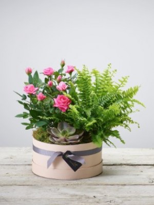 interflora_product_501084